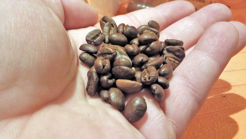 Close-up of hand holding coffee beans