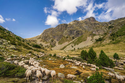 Panoramic view of landscape and mountains against sky