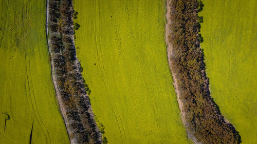 High angle view of agricultural field