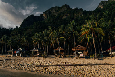 Scenic view of palm trees on beach against sky