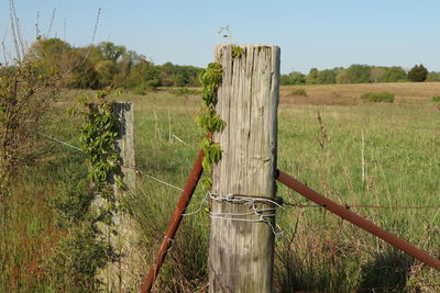 Wooden fence on field