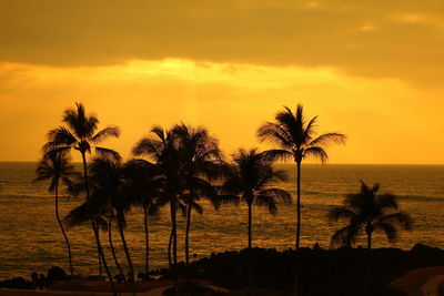 Silhouette palm trees on beach against sky during sunset