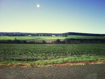 Scenic view of field against clear sky