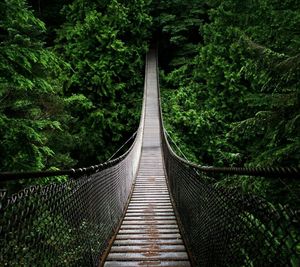 Footbridge in forest