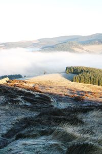 Scenic view of landscape against clear sky