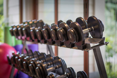 Dumbbell weights, lined up in the gym