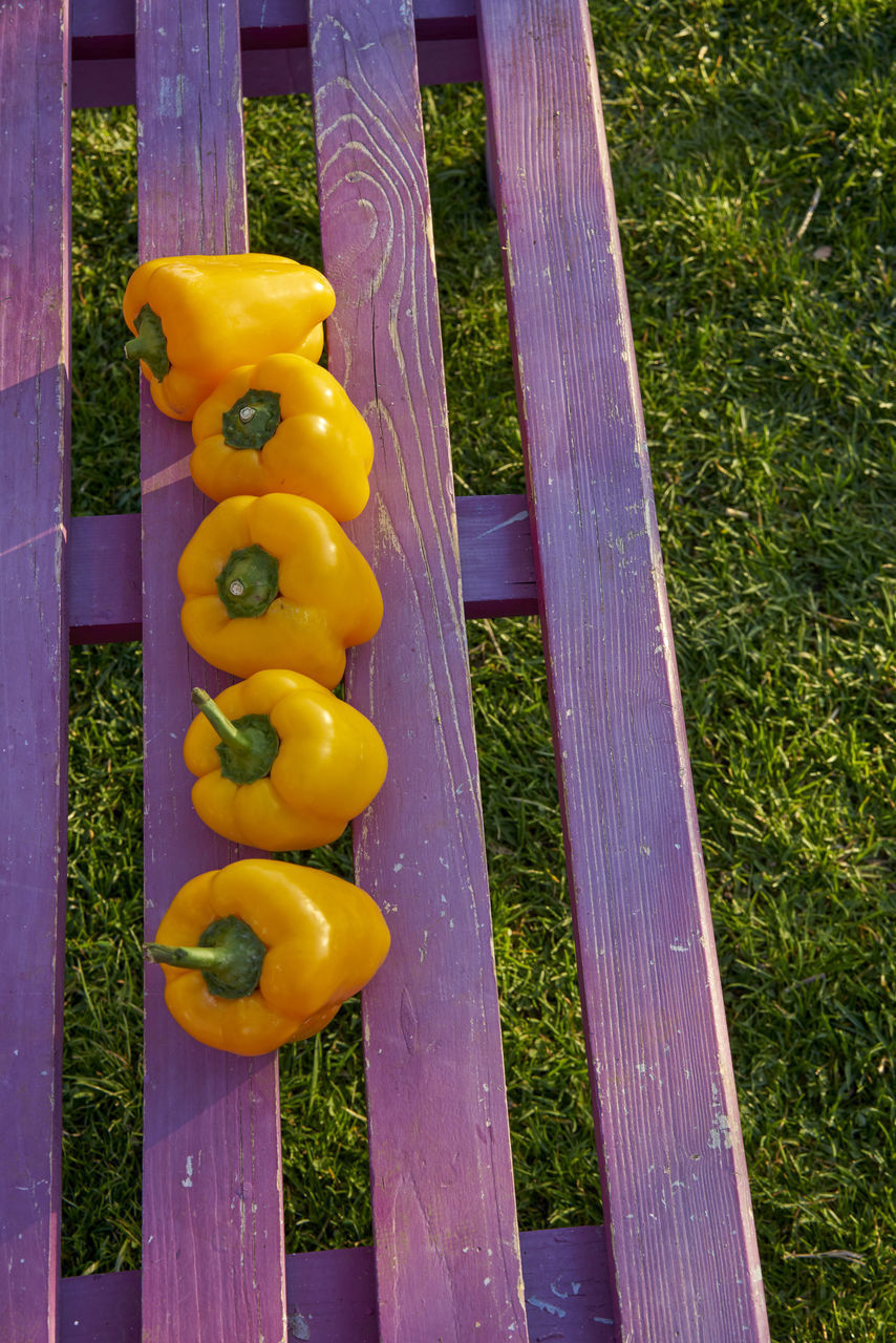 HIGH ANGLE VIEW OF MULTI COLORED VEGETABLES ON WOODEN FENCE BY GRASS