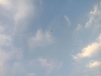 Low angle view of bird flying in sky