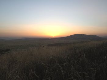 Scenic view of field against sky during sunset