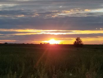 Scenic view of field against sky during sunset