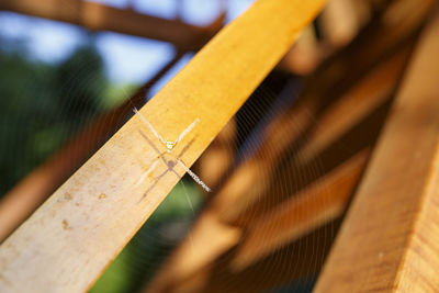 Close-up of wood at construction site