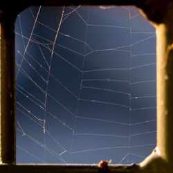 Low angle view of spider on web against sky