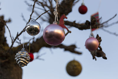 Low angle view of fruits hanging on tree against sky