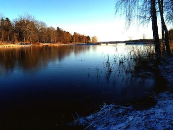 Reflection of trees in calm lake