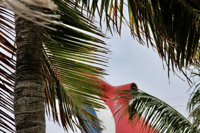 Low angle view of palm trees and funnel of the cruise ship against the sky 