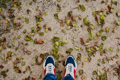 Low section of person standing on leaves