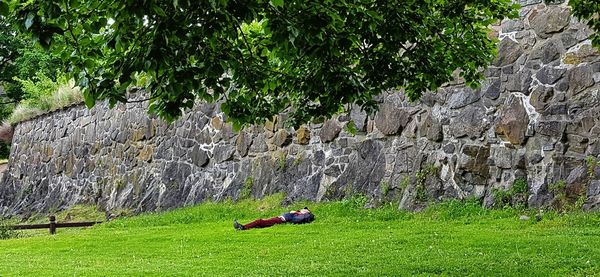 People on grassy landscape