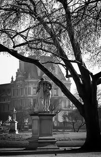 Low angle view of bare trees against buildings