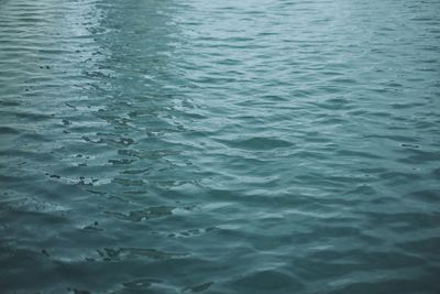 Full frame shot of rippled water