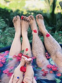 Low section of family with rose petals in wading pool