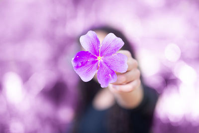 Woman holding purple flower over face