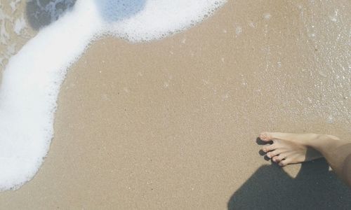 Low section of person standing on sandy beach