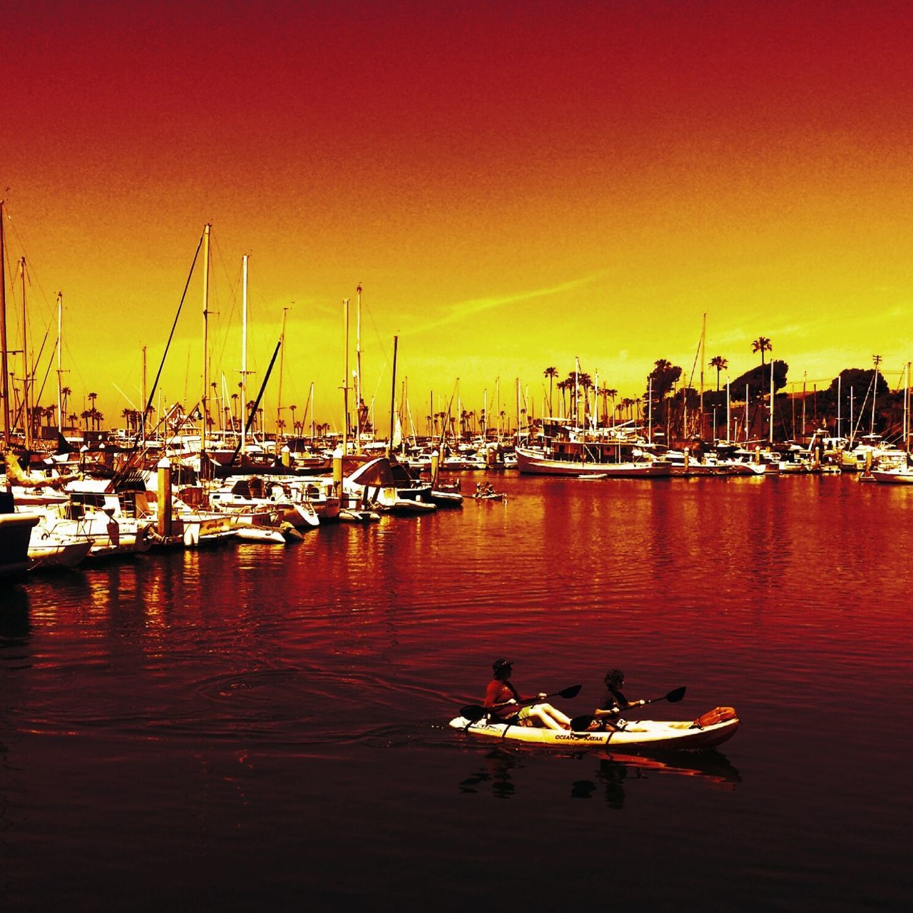 Harbor