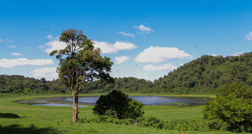 Scenic view of landscape against sky