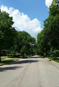 Empty road along trees