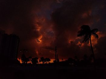 Silhouette palm trees against sky