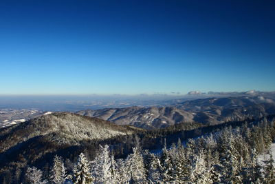 Aerial view of frozen trees by mountains against clear blue sky