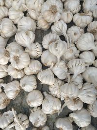 Full frame shot of white garlic for sale in market