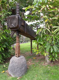 Stone sculpture in garden