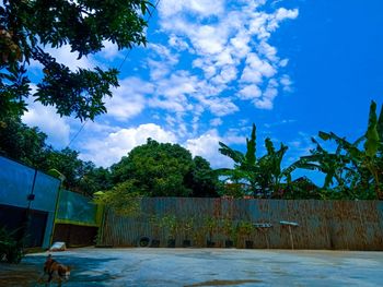 Scenic view of swimming pool against sky