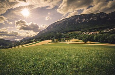 Scenic view of field against bright sun