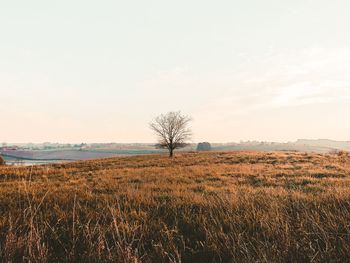 Scenic view of land against clear sky