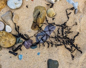 High angle view of pebbles on beach