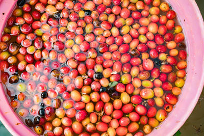 Full frame shot of multi colored candies