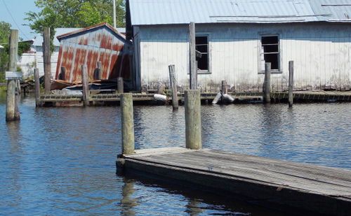 Wooden posts in sea