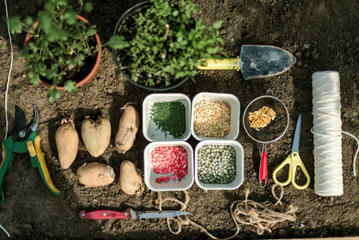 High angle view of food on table