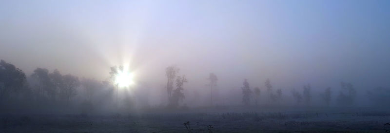 Trees on landscape against sky during foggy weather