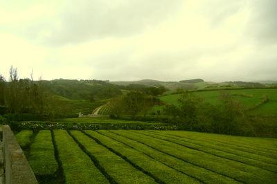 Scenic view of field against cloudy sky