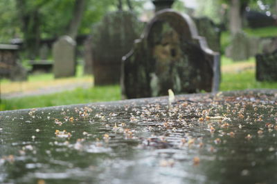 cemetery