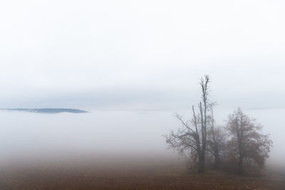 Scenic view of snow covered land against sky