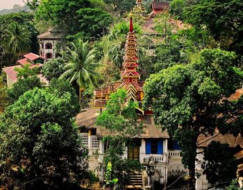 Low angle view of trees and buildings in town