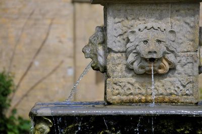Close-up of statue against fountain