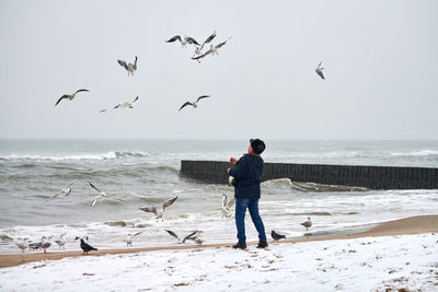 Full length of seagulls on beach against sky