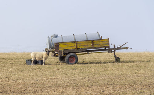 Horse cart on field against sky