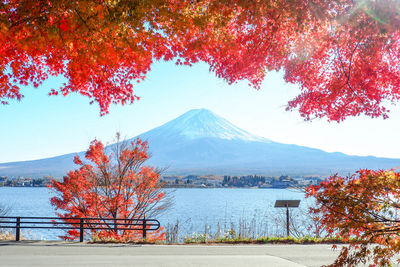 Autumn trees by lake against sky