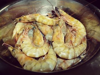 Close-up of shrimps in bowl at home